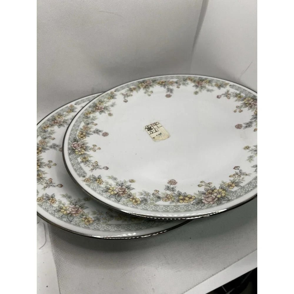 2 plates Noritake 2932 Spring Field Floral  Silver Rim Edge dinner dish 10